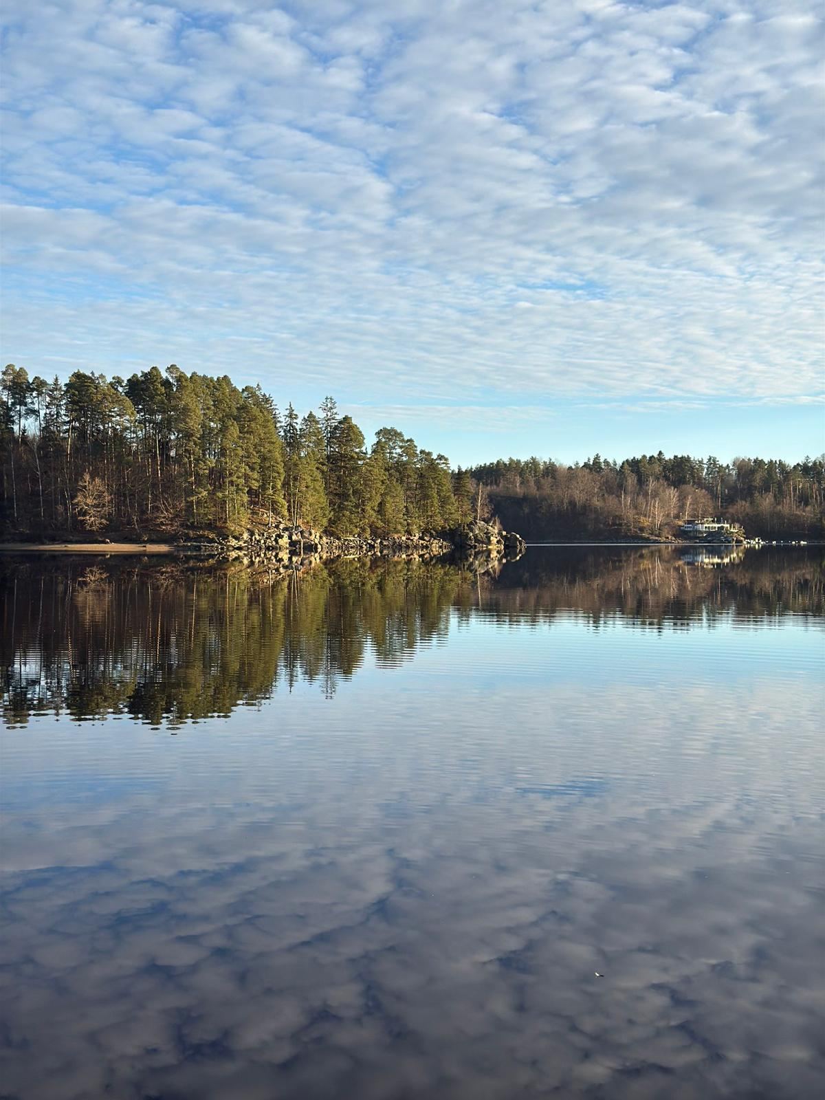 Ruhiger See mit Wald und weitem Himmel