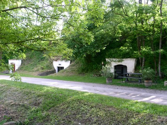 Begrünter Spazierweg bei den Kellergassen in Münichsthal, umgeben von Bäumen